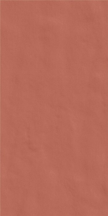 Плитка Neutra 60 14 Arancio 120X240Ret 752899 240x120 6мм Casa Dolce Casa