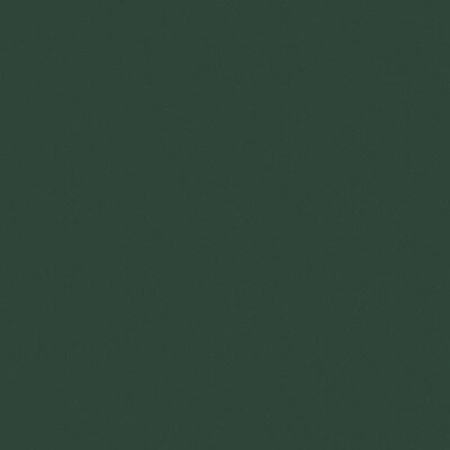 Плитка Crayons Cerim Moss Nat 120X120R 767254 120x120 6мм матовая зеленый однотонная Cerim