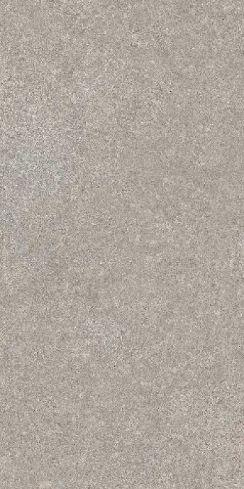 Плитка Elemenstgrey R 766430 120x60 20мм Cerim